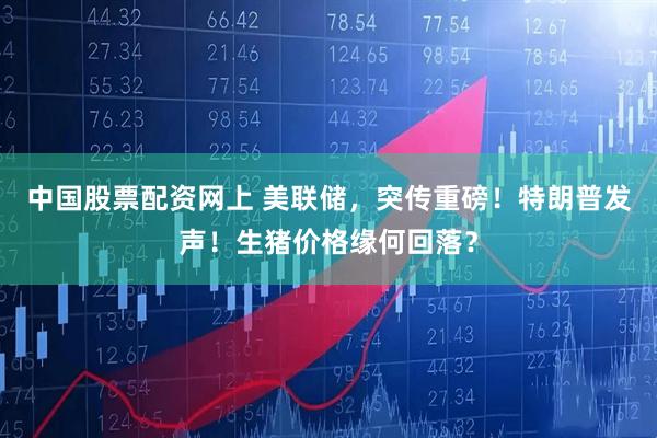 中国股票配资网上 美联储，突传重磅！特朗普发声！生猪价格缘何回落？